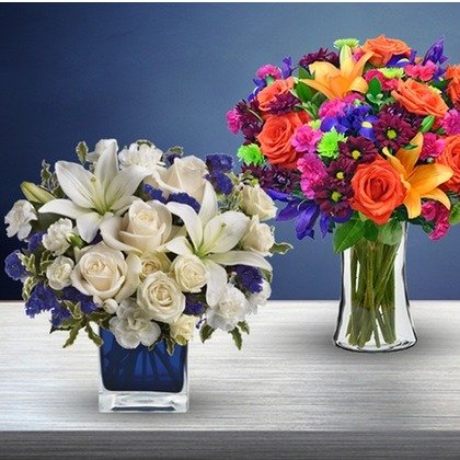 Vibrant Flowers with Shipping Included from Blooms Today (50% Off)
