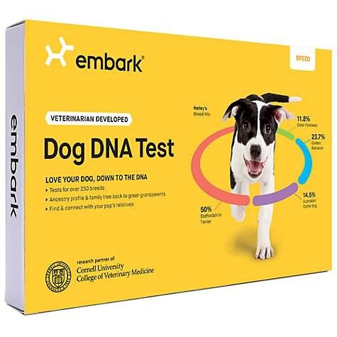 Vet Dog DNA Breed Identification Kit | Petco