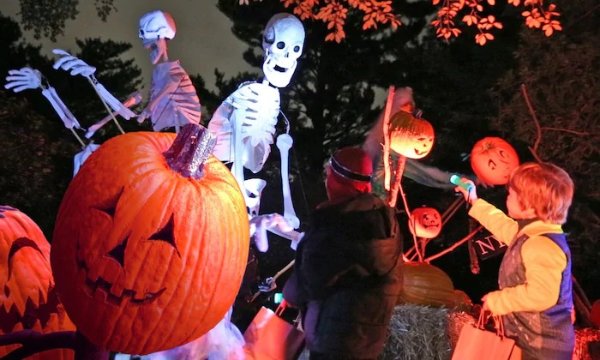 纽约Spooky pumpkin garden门票