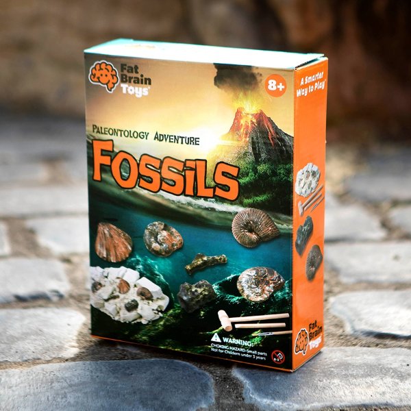 Paleontology Adventure: Fossils - Best for Ages 8 to 12