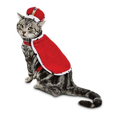 King Purrington Cat Costume | Petco