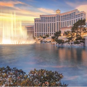 Las Vegas MGM Hotel Special Black Friday Rates