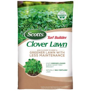 Scotts Turf Builder Clover Lawn, 2 Lb