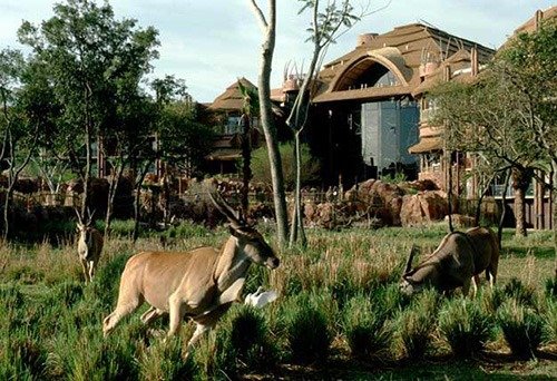 奥兰多Disney动物王国酒店