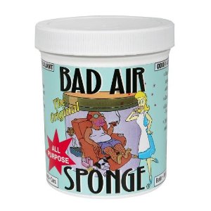 Bad Air Sponge 除臭海绵，14盎司