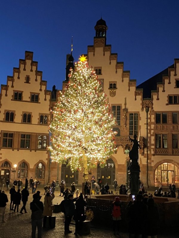 2020-Weihnachtsbaum-Bertl-aus-dem-Groebminger-Land-Schladming-Dachstein_front_embed.jpg
