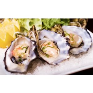 Two Dozen East Coast Blue Point Oysters and Two Martinis  @ Groupon