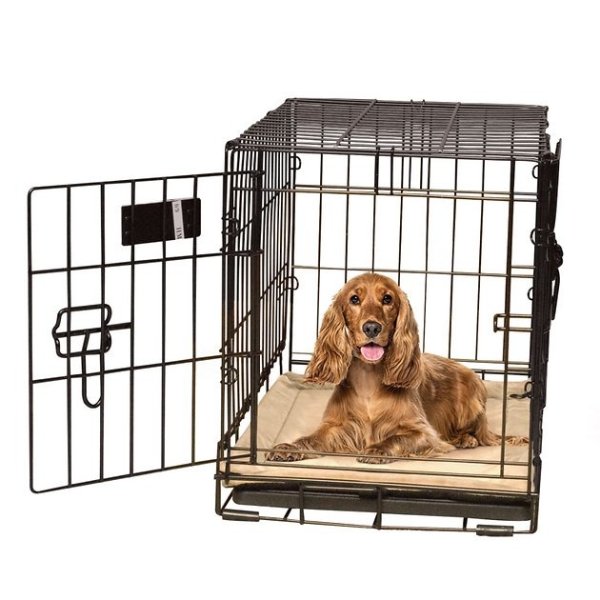 Self-Warming Dog Crate Pad, Tan, 21 x 31 in - Chewy.com