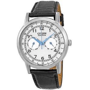 Citizen Eco-Drive Silver Dial Stainless Steel Black Leather Mens Watch A0900006B