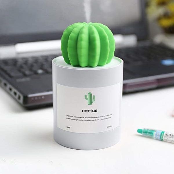 Mini Cactus Humidifier from Apollo Box