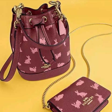 COACH Outlet Lunar New Year Mini Dempsey Bucket Bag With Rabbit Print 