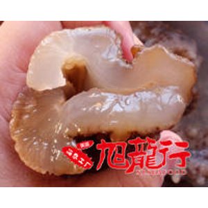 with Dried Sea Cucumber(Large) Purchase @XLSeafood