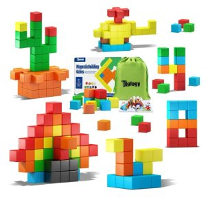 史低价：Toylogy 儿童益智磁力积木块，48个，3岁+儿童适用