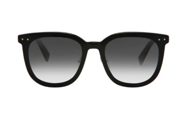 VE900 Oversized Sunglasses