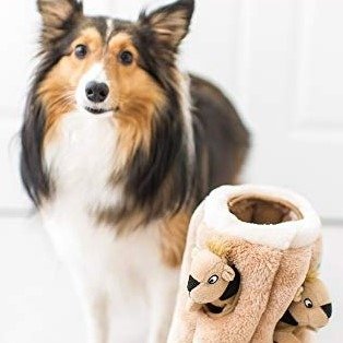 狗狗捉迷藏松鼠玩具