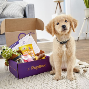 PupBox Dog Birthday Box