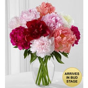 In Full Bloom Peony Bouquet - 10 Stems - VASE INCLUDED