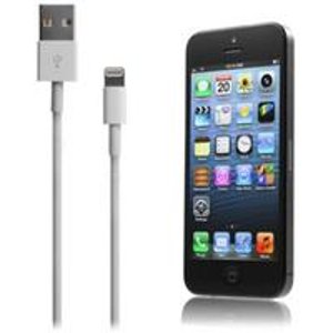 苹果iPhone 5 3.3英尺 Lightning USB数据线