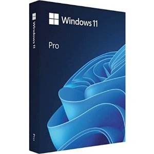 Microsoft Windows 11 Home or Pro 数字版
