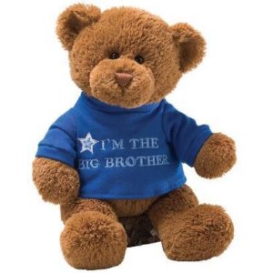 Gund T-shirt Message Teddy Bear Stuffed Animal