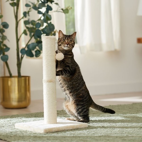21-in Sisal Cat Scratching Post with Toy