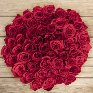 Pre-Order 50 Stem Valentine's Day Red Roses