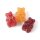 Prebiotic Fiber + Probiotic Gummies for Men &#38; Women - Fruit Flavors - 65ct