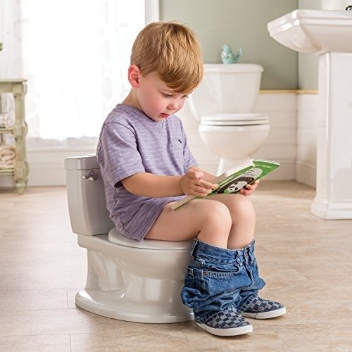 My Size Potty - Training Toilet for Toddler Boys & Girls - with Flushing Sounds and Wipe Dispenser