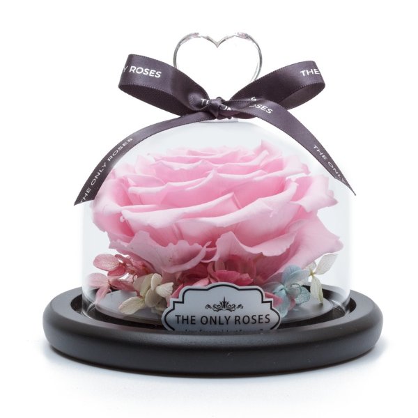 Pink Preserved Rose | Glass Dome with Heart Handle