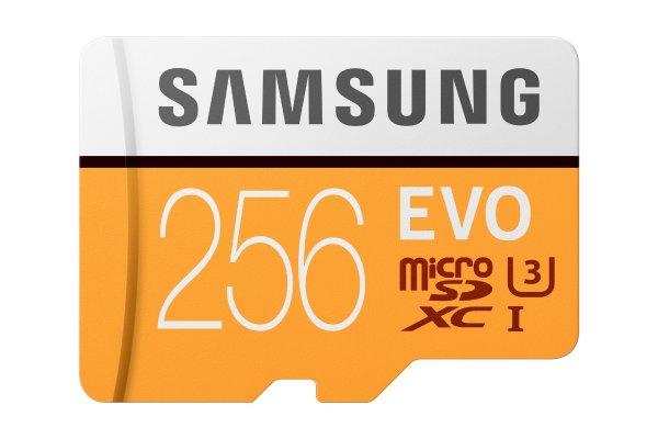 EVO 256GB 100MB/s (U3) MicroSDXC