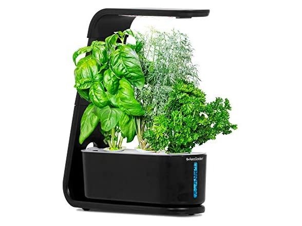 Sprout with Gourmet Herbs Seed Pod Kit - Hydroponic Indoor Garden, Black