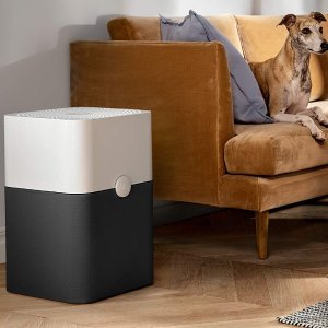 Today Only: Blueair Air Purifiers Sale