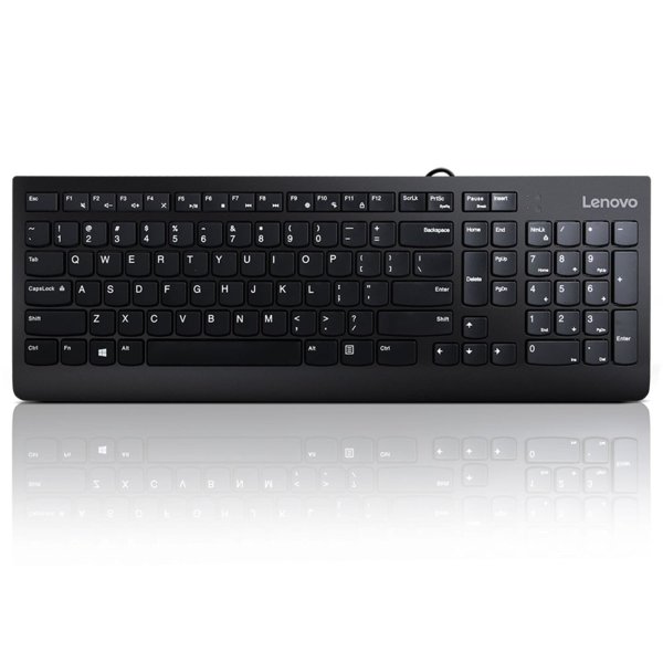 MICE_BO Lenovo 300 USB Keyboard