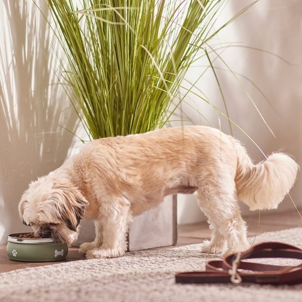 Frisco Travel Non-skid Stainless Steel Dog & Cat Bowl