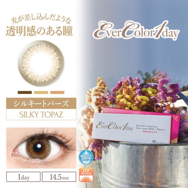 Ever Color 1day / HugU [1 Box 10 pcs] / Daily Disposal 1Day Disposable Colored Contact Lens DIA14.5mm