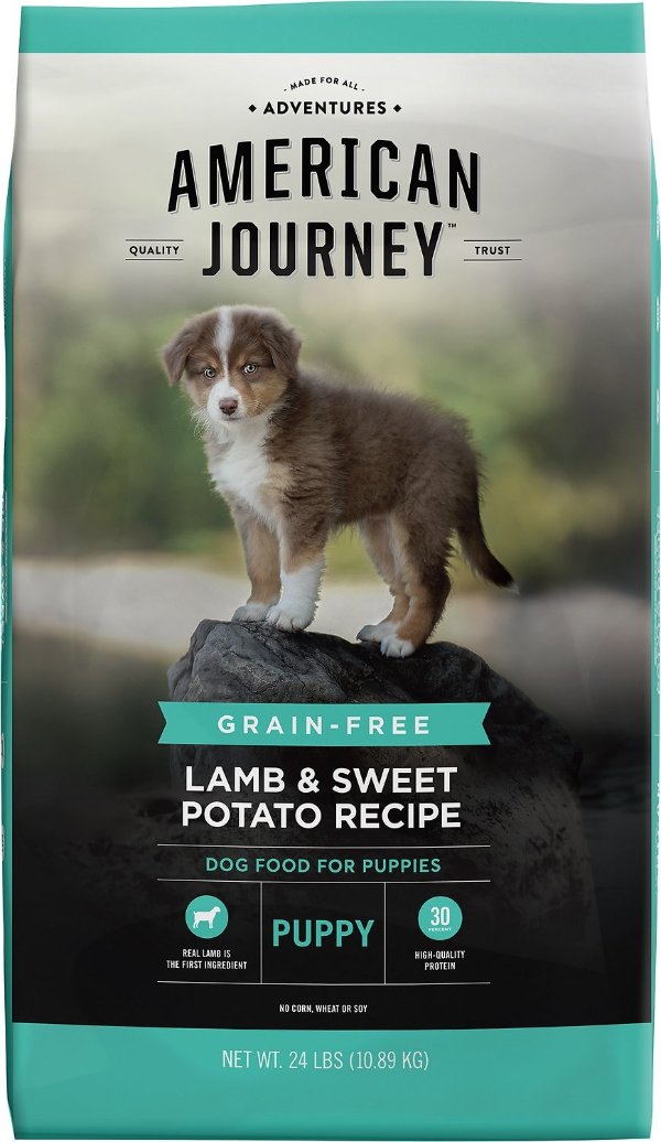 Lamb & Sweet Potato Recipe Grain-Free Puppy Dry Dog Food, 24-lb bag - Chewy.com