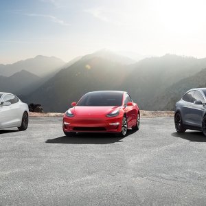 目前紧急暂停 正在“算法升级”Tesla 自家保险加州上线 官宣比市场价低20%