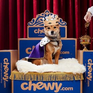 Shop Today's Deals @Chewy