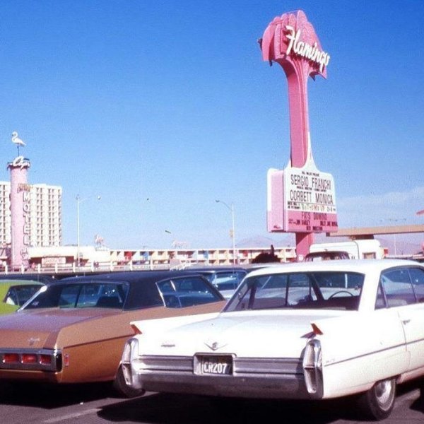 flamingovegas_20686919_159233514641913_8214057788901425152_n.jpg