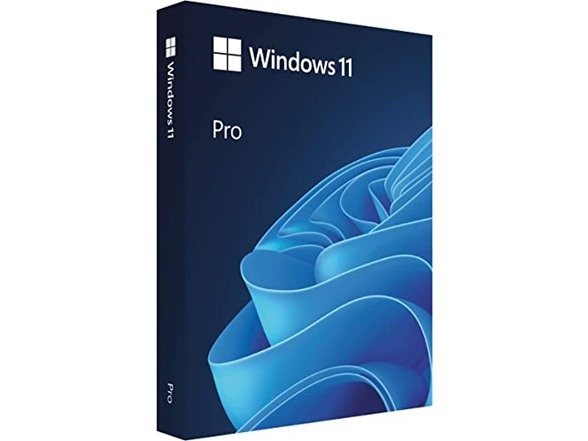 Microsoft Windows 10 or 11 Pro | Digital Download