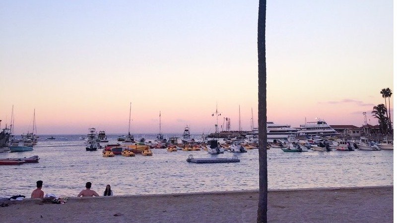 【LA周边游】碧海蓝天，周末相约Catalina度假小海岛