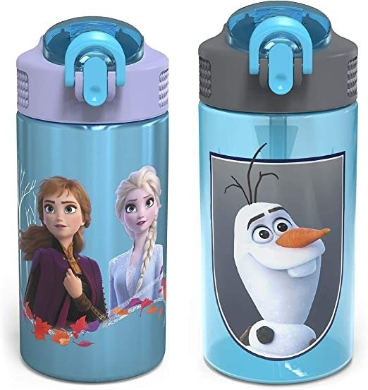 Zak Designs Disney Frozen 2 Kids Water Bottle Set with Reusable Straws and Built in Carrying Loops, Made of Durable Stainless Steel & Plastic, Leak-Proof Bottle Design (Elsa/Anna, BPA-Free, 2pc Set)
