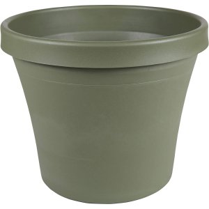 Bloem Terra Pot Planter 8.75" Living Green
