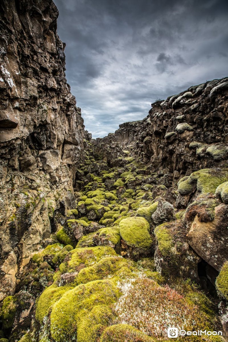 thingvellir-national-park-where-you-walk-between-two-continents-1.jpg