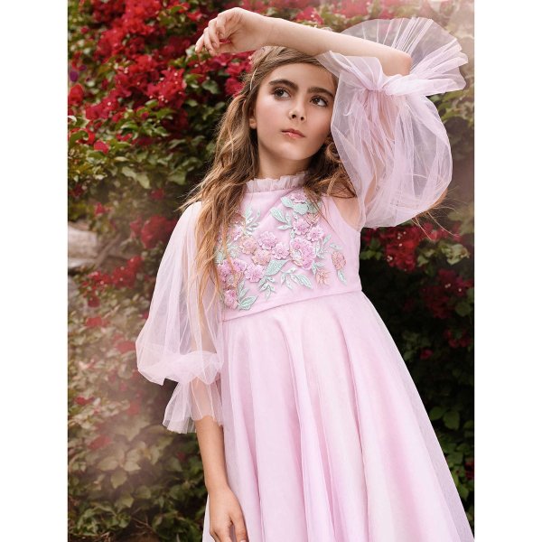 Pink Floral Embellished Zali Long Sleeve Tulle Dress | AlexandAlexa