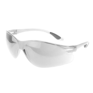 Radians PS0111ID Safety Glasses