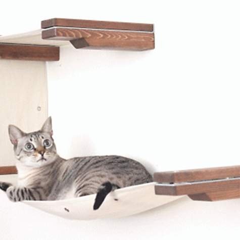 CatastrophiCreations The Cat Mod Double Decker Hammocks for Cats in English Chestnut | Petco