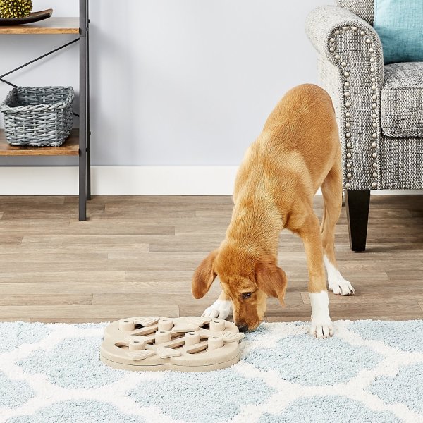 Nina Ottosson by Outward Hound Hide N' Slide Puzzle Game Dog Toy - Chewy.com