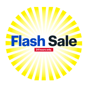 Best Buy 48-Hour Flash Sale