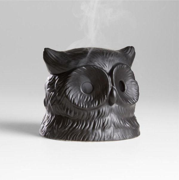 PATCH NYC Owl Incense Burner + Reviews | Crate & Barrel